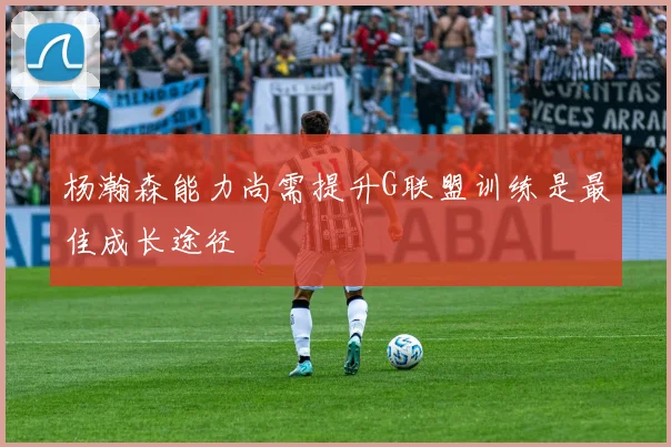 杨瀚森能力尚需提升G联盟训练是最佳成长途径