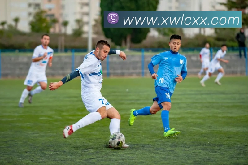 M体育平台生态图